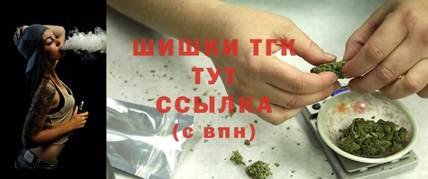 амф Верея