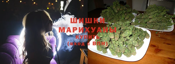 спиды Тайга