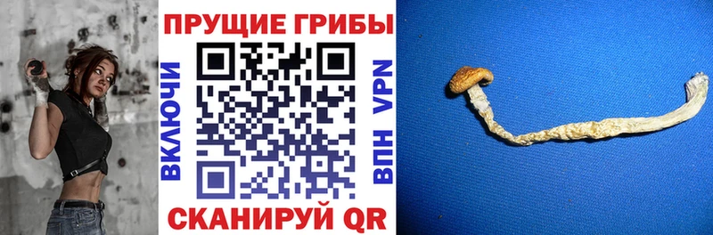 Галлюциногенные грибы Magic Shrooms  Ростов 